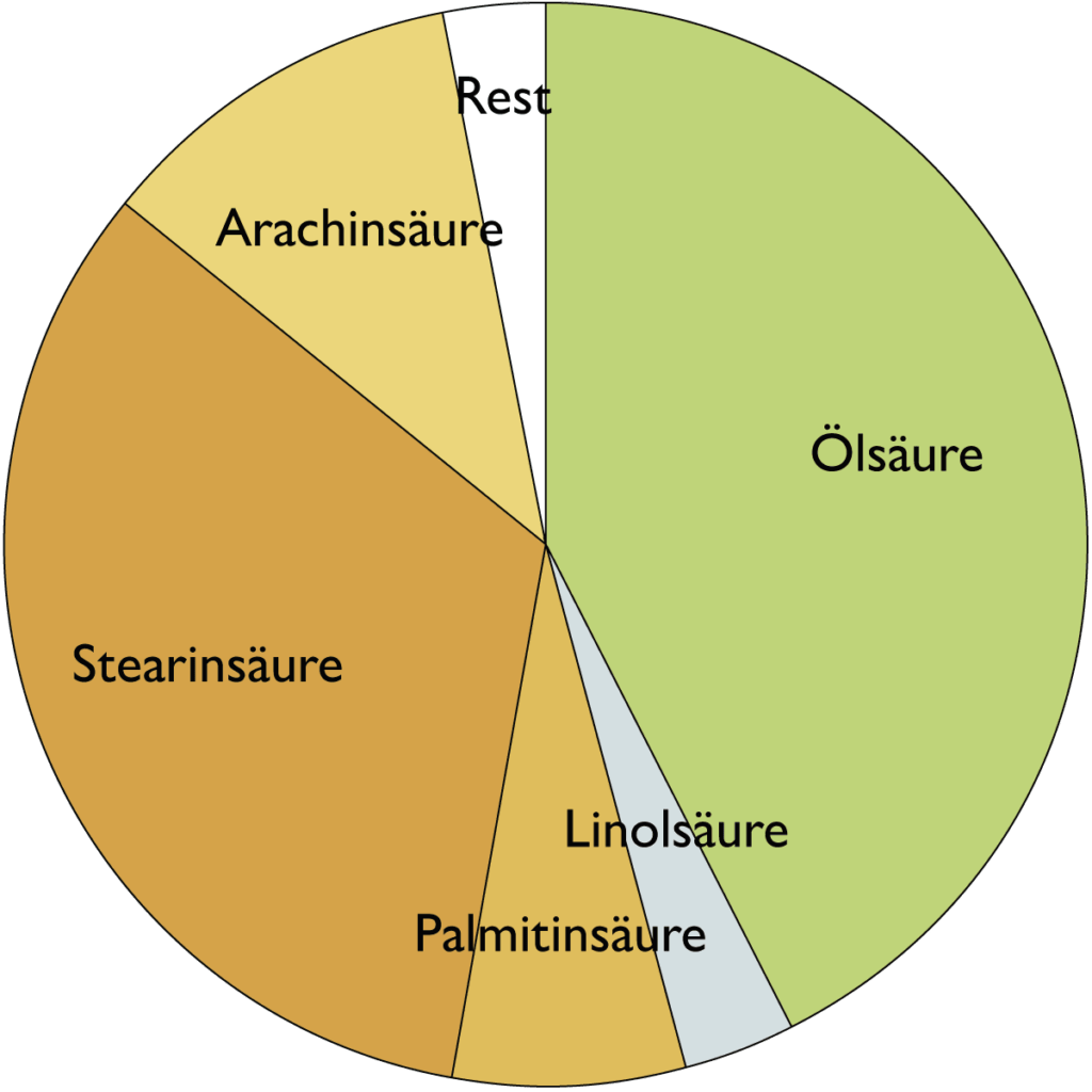 Fettsäurespektrum Cupuaçubutter