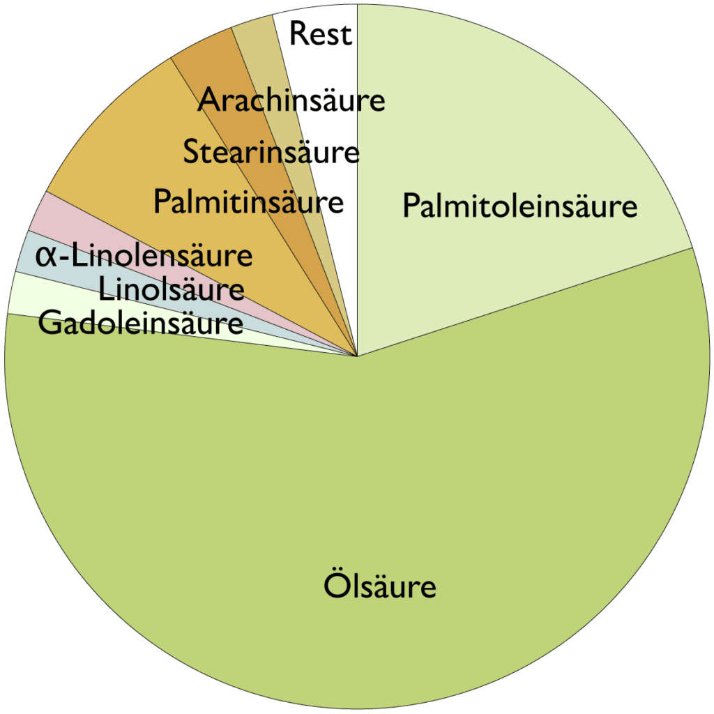 Fettsäurespektrum von Macadamianussöl