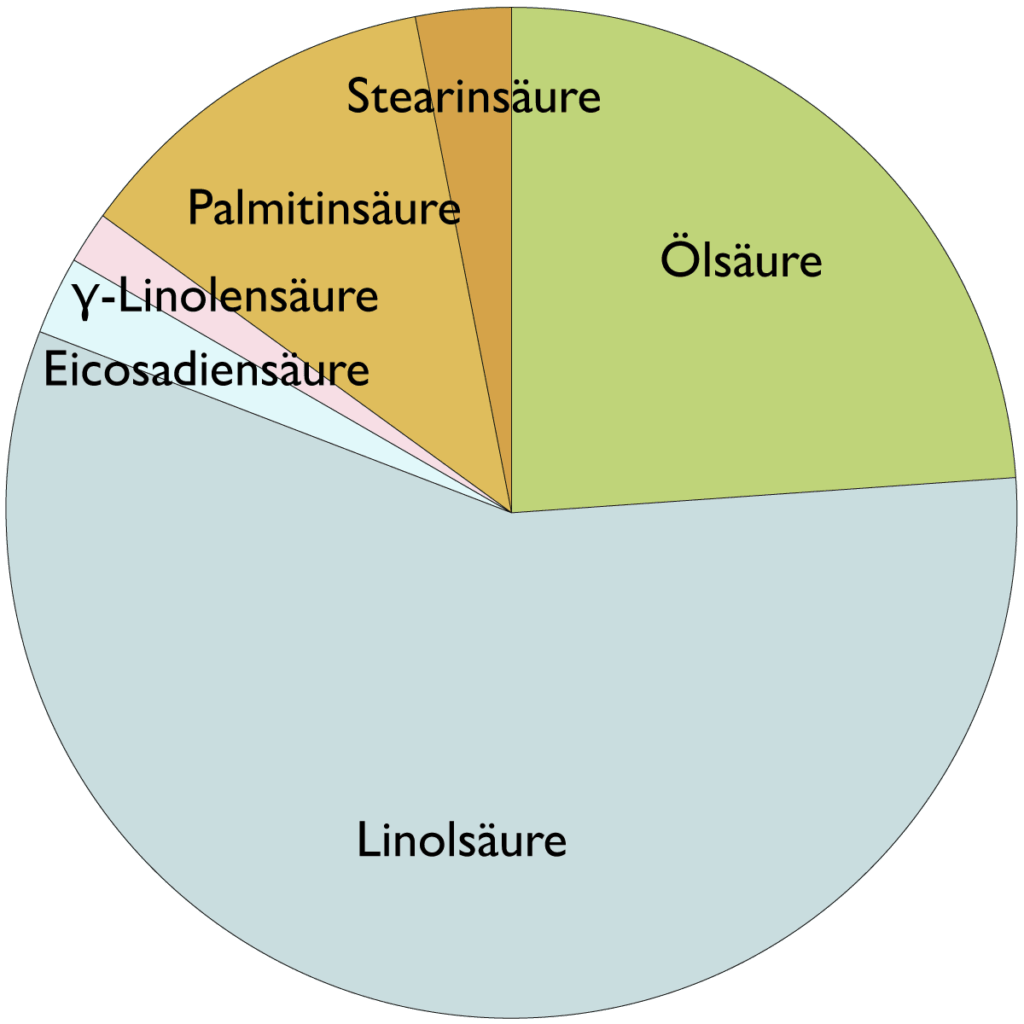 Fettsäurespektrum von Schwarzkümmelöl (Nigella Sativa (Black Cumin) Seed Oil)