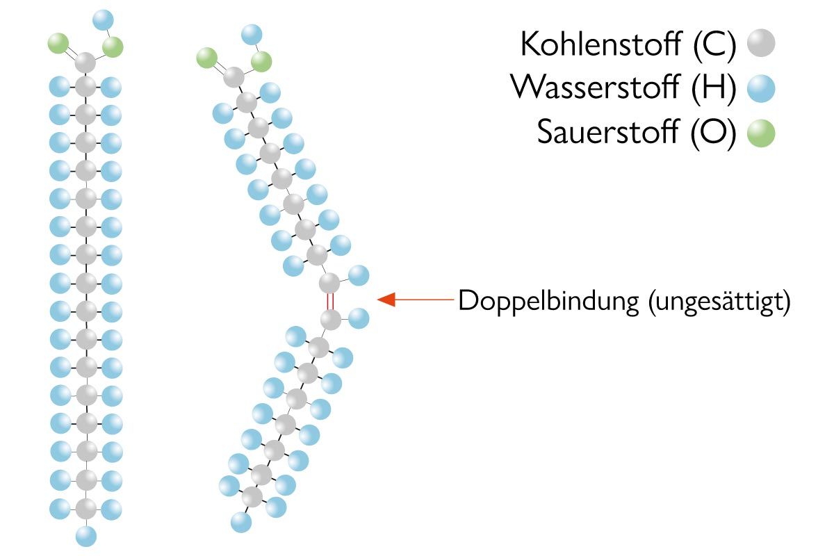 Basiswissen »Fettsäuren«: Vergleich zwischen gesättigter und ungesättigter Fettsäure
