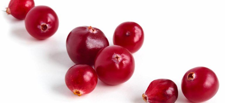 Preiselbeeren (Canberrys) auf weißem Hintergrund