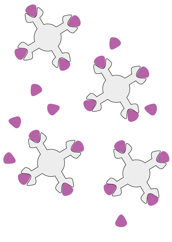 Prinzip: Das Konservierungsmittel versagt, Folge ist Keimwachstum