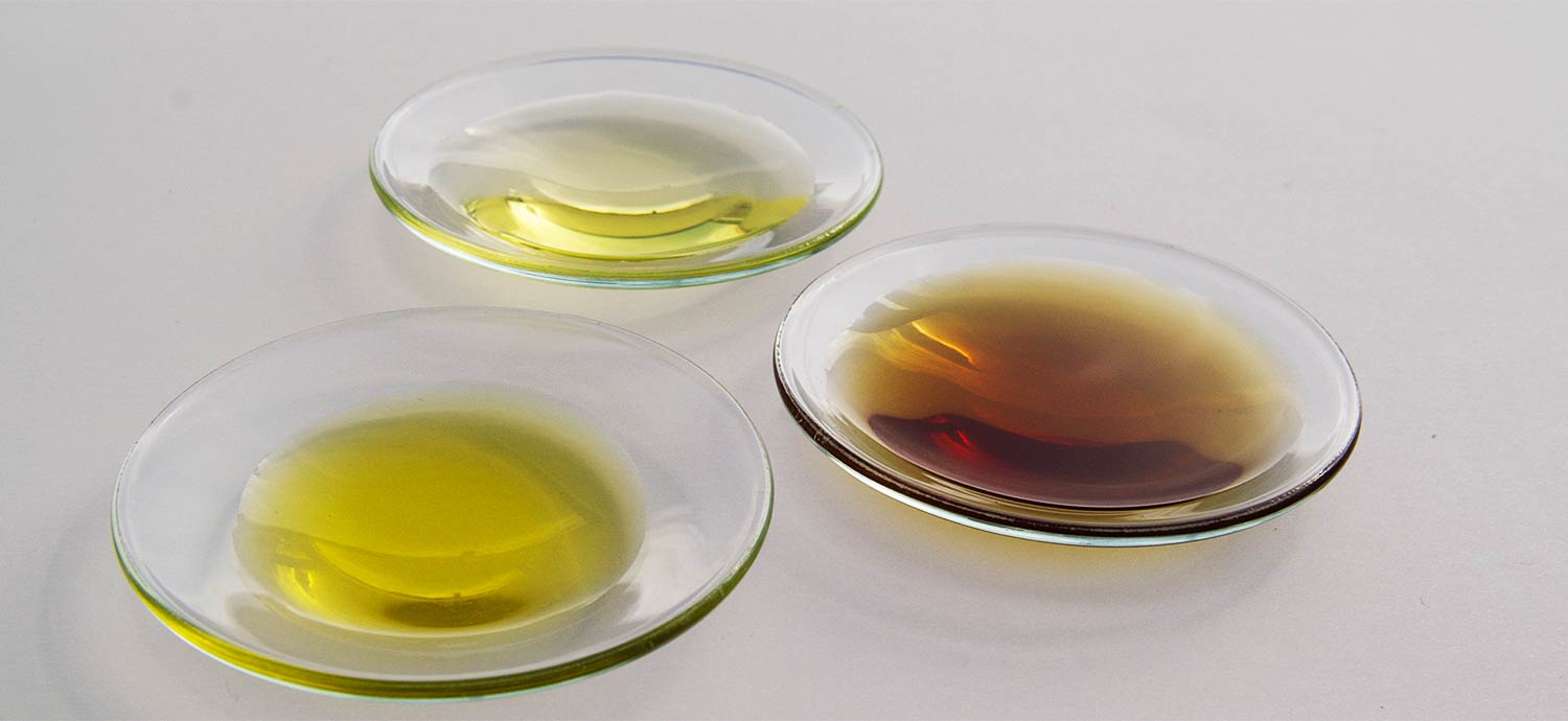 Kleine Glasschalen mit verschiedenen Pflanzenölen