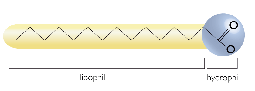 Emulgatormolekül mit lipophilem und hydrophilem Teil
