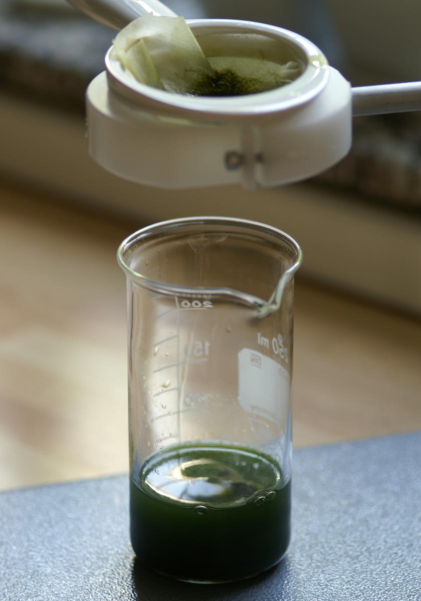 Labortrichter filtert grüne Flüssigkeit in Becherglas.