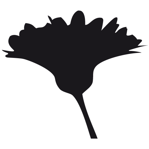 Olionatura-Logo